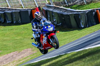 Oulton-Park-20th-March-2020;PJ-Motorsport-Photography-2020;anglesey;brands-hatch;cadwell-park;croft;donington-park;enduro-digital-images;event-digital-images;eventdigitalimages;mallory;no-limits;oulton-park;peter-wileman-photography;racing-digital-images;silverstone;snetterton;trackday-digital-images;trackday-photos;vmcc-banbury-run;welsh-2-day-enduro